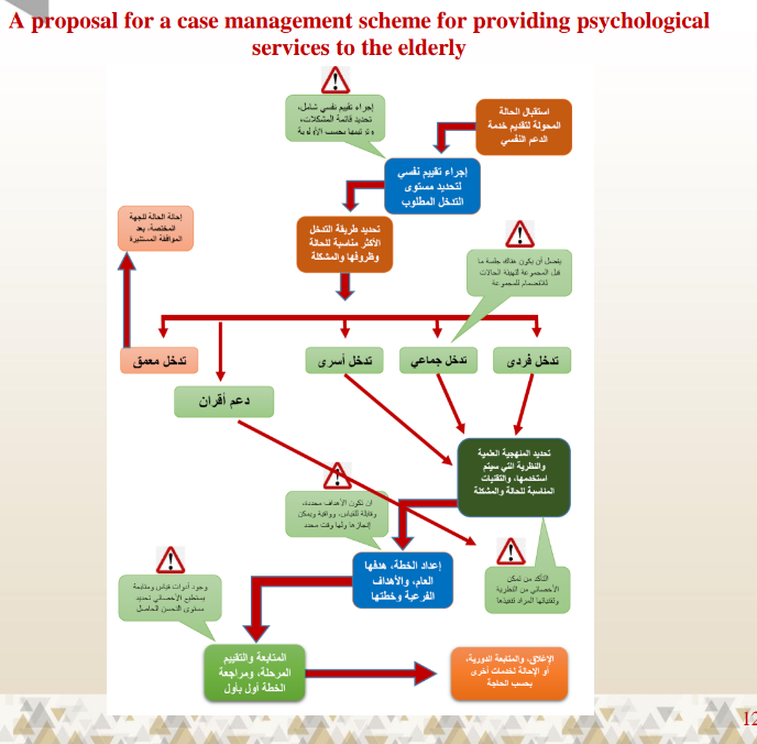 process map of case management for the elderly
